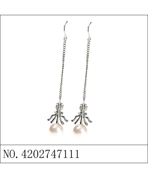 Earrings Earrings