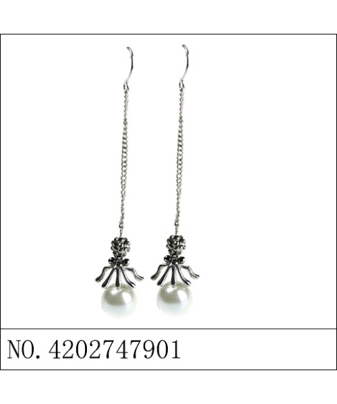 Earrings Earrings