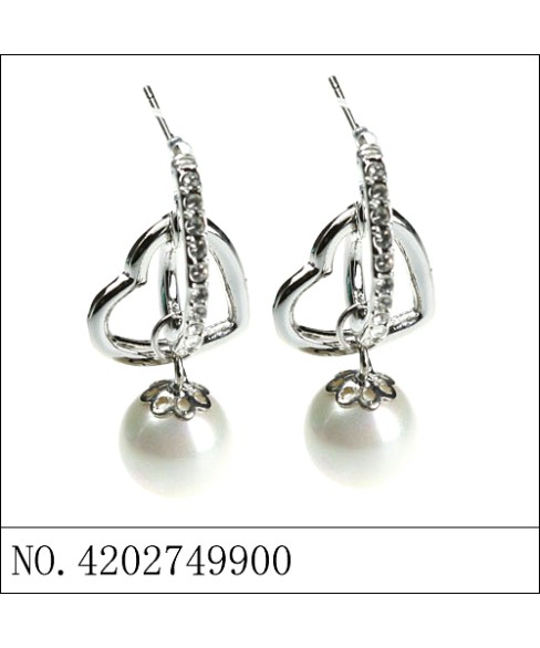 Earrings Earrings