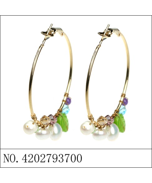 Earrings Earrings