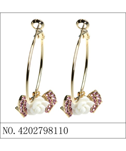 Earrings Earrings