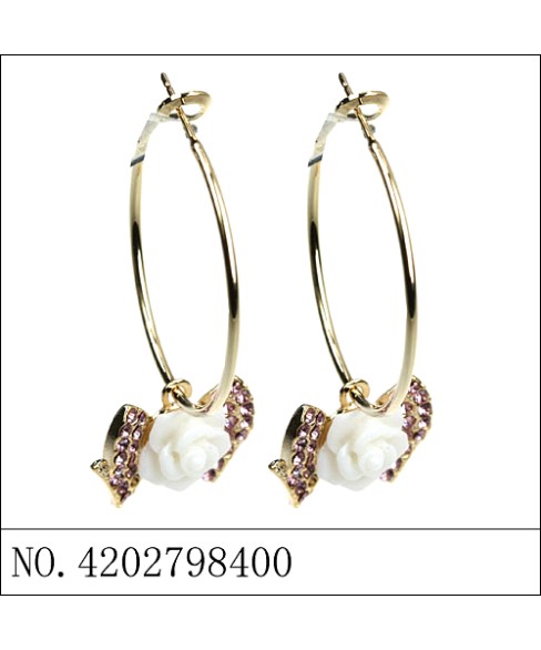 Earrings Earrings
