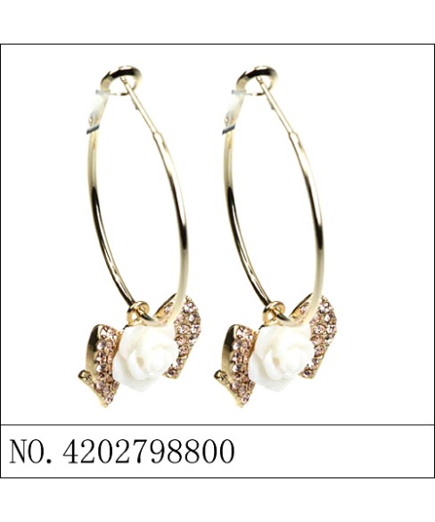 Earrings Earrings