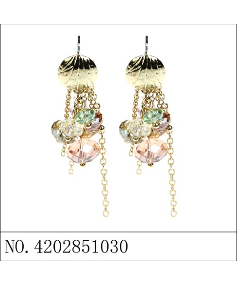 Earrings Earrings