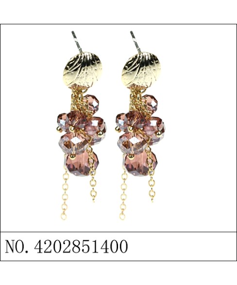 Earrings Brown