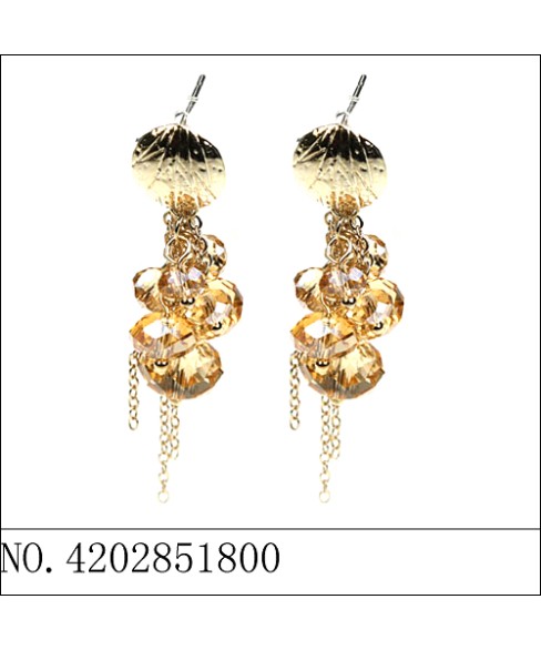 Earrings Earrings
