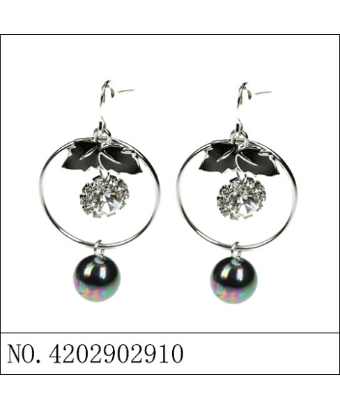 Earring Earring