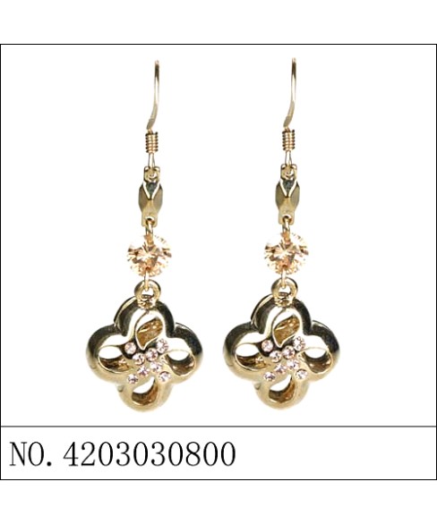 Earrings Earrings