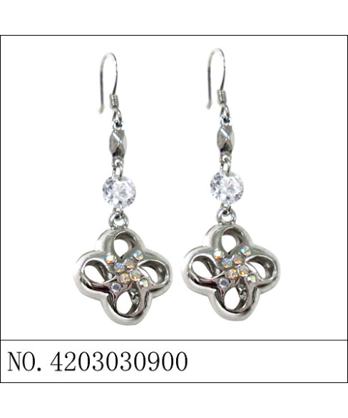 Earrings Earrings