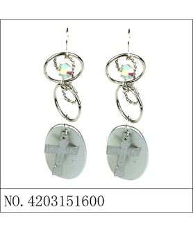 Earrings Gray