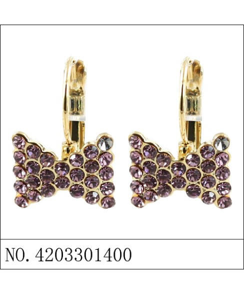 Earrings Brown