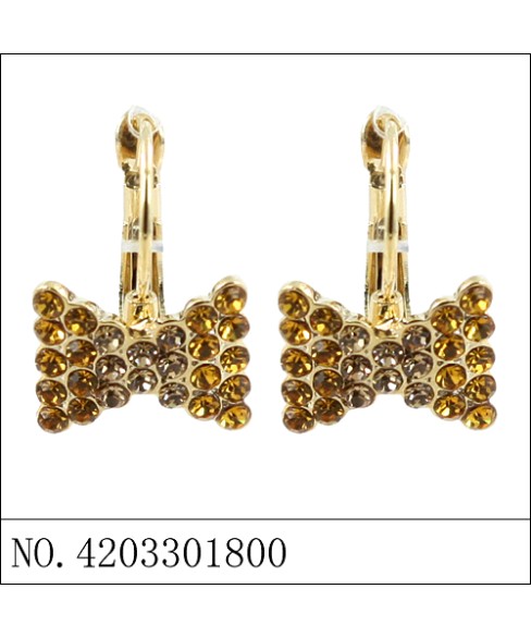 Earrings Brown Earrings Brown