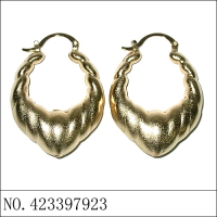 Earrings Gold
