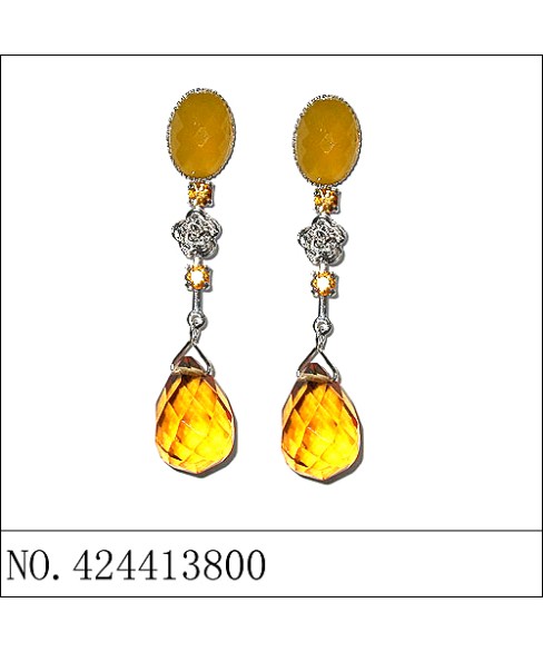 Earrings Brown