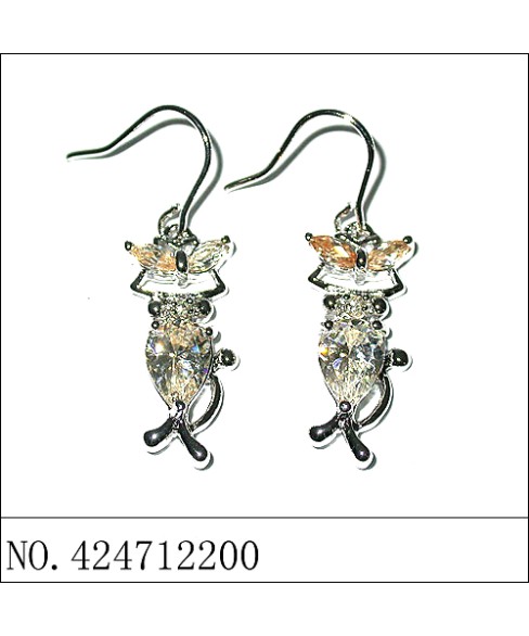 Earrings Earrings
