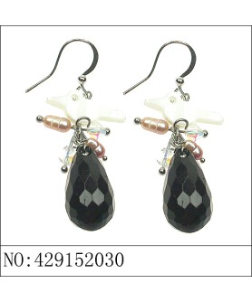 Earrings Stripe