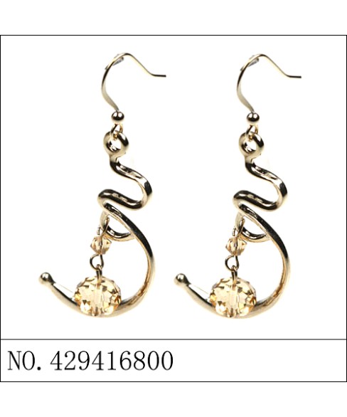 Earrings Brown Earrings Brown