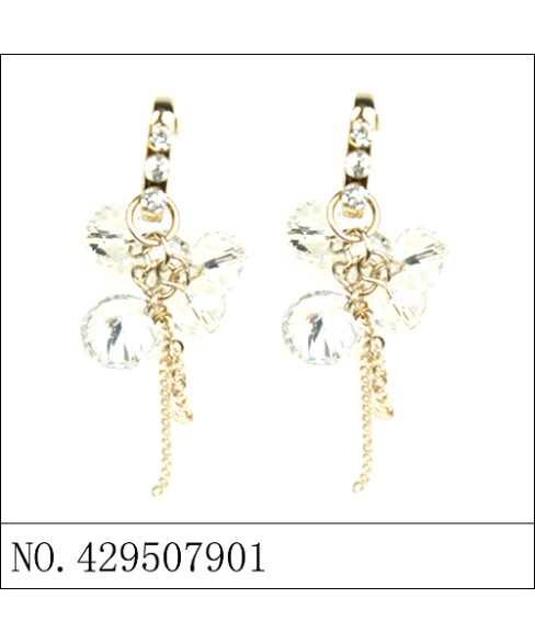 Earrings White Earrings White