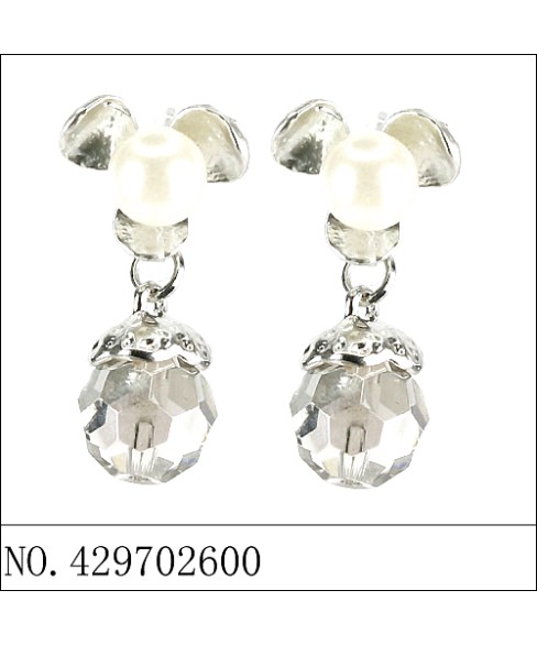 Earrings Gray