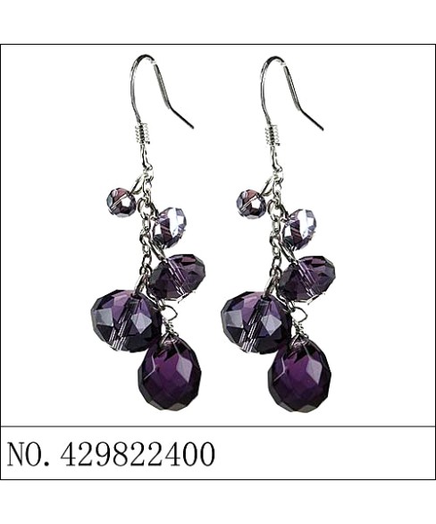 Earrings Purple Earrings Purple