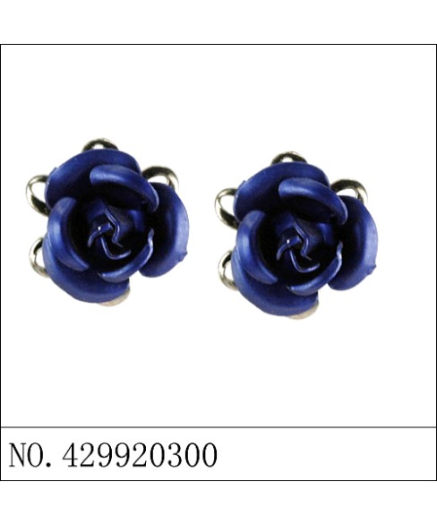 Earrings Blue