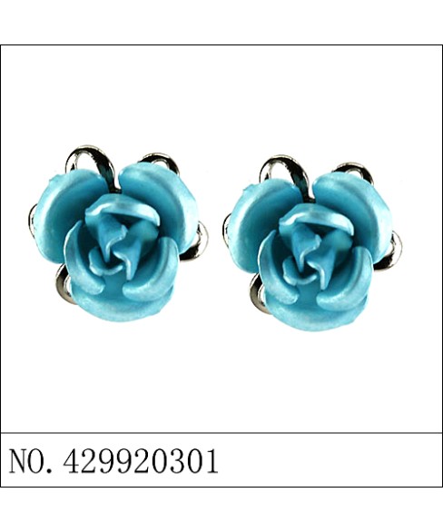 Earrings Earrings
