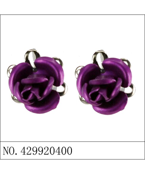 Earrings Purple