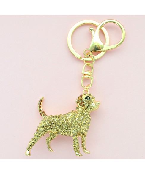 Key Chains Key Chains