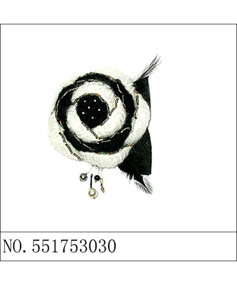 Brooch Brooch